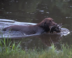 20130713-MHB2-0365.jpg