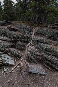Glacier National Park