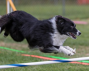 20200819-1894.jpg