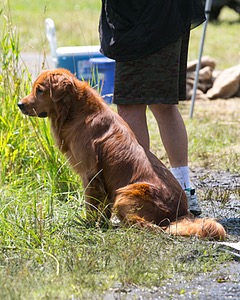 20130714-MHB2-0073.jpg
