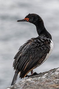 20191214-0123.jpg