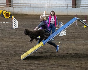 20190513-AG-0021.jpg