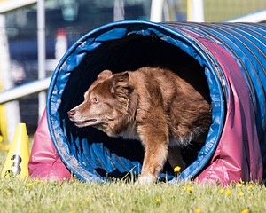 20160514-NEAT-0126.jpg