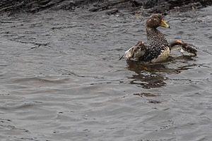 20191217-0866.jpg