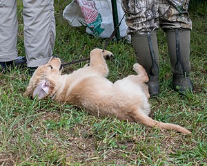 20150913-C-0019.jpg