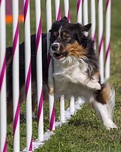 20230916-PVKC-1386.jpg