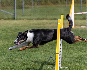 20200819-0679.jpg