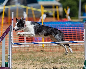 20160619-CCKC-1064.jpg
