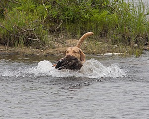 20080531-HRW-0085.jpg