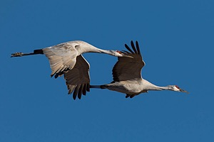 20151206-3569.jpg