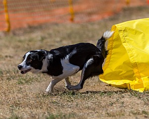 20160619-CCKC-1689.jpg