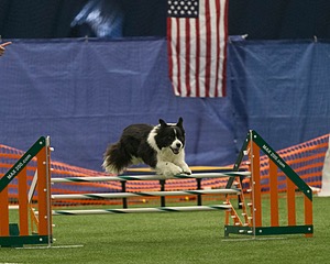 20150321-LEAP-0891.jpg
