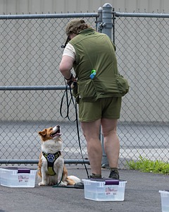 20260718-NSKC-0371.jpg