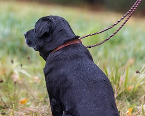 20241013-WCL-0011.jpg