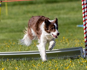 Kelso Ratner