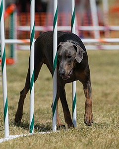 20150614-CCKC-1779.jpg