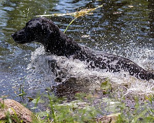 20170716-WCXW-1207.jpg