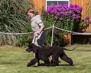 20210828-SW-0176.jpg