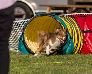 20220917-PVKC-1155.jpg