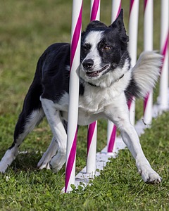 20230916-PVKC-1469.jpg