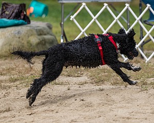 20210912-WWD-0456.jpg