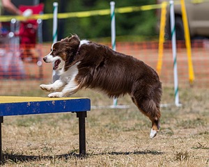 20160619-CCKC-1283.jpg