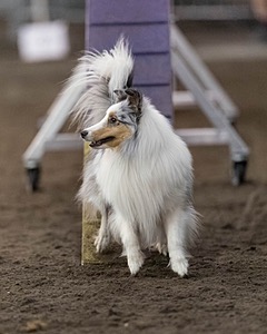 Breeze Thompson