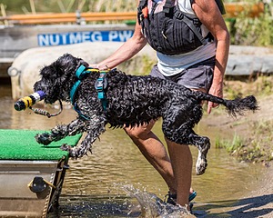 Kayla Denise