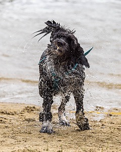 Kayla Ratner