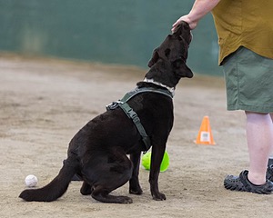 20260718-NSKC-0646.jpg