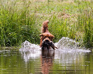 20130714-MHB2-0085.jpg