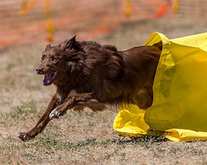 20160619-CCKC-1331.jpg