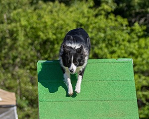 20160619-CCKC-0108.jpg
