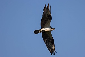 20240621-1075.jpg