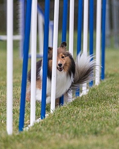 20200819-2064.jpg