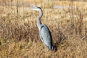 20151206-1743.jpg