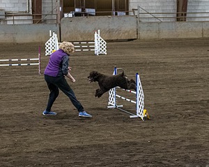 20190513-AG-0010.jpg