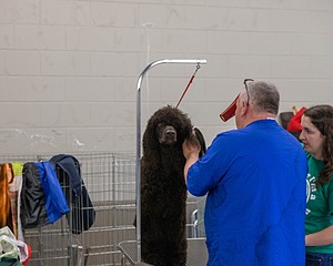 20190514-C-0006.jpg