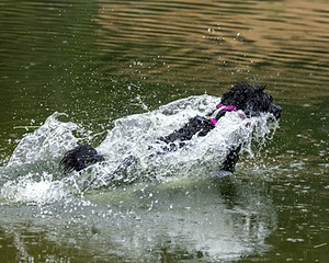 Rio Abruzzzese