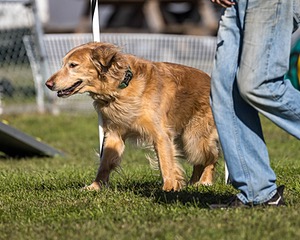 20230917-PVKC-2604.jpg