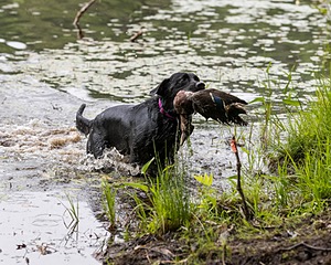 20220604-SHW-0208.jpg