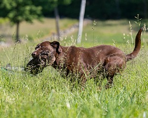 20210606-SEAL-0514.jpg