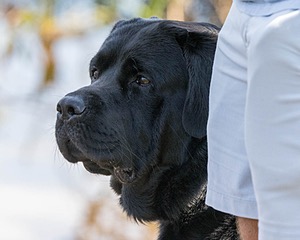 Remy Fiedorowicz