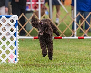 20190926-0056.jpg