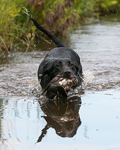 20130713-MHB2-0212.jpg