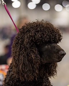 20251122-0003.jpg