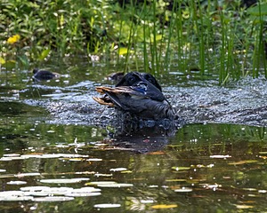 20170716-WCXW-1038.jpg