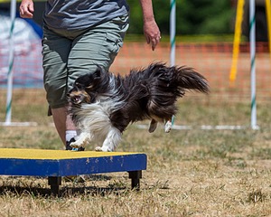 20160619-CCKC-1143.jpg
