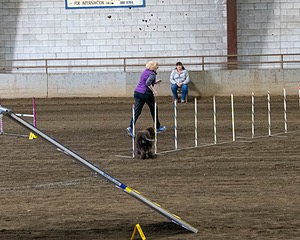 20190513-AG-0047.jpg