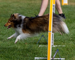 20200819-0156.jpg
